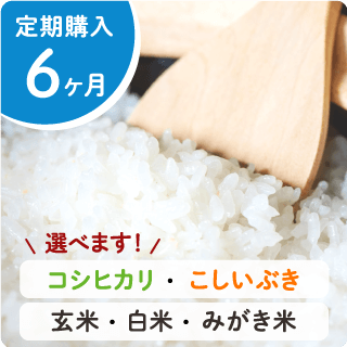 令和6年度産新米】新潟産コシヒカリ10㎏ - 金助農業株式会社の