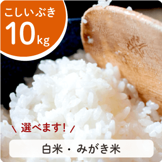 令和5年産新米│新潟産コシヒカリ】10㎏ - 金助農業株式会社のネット ...