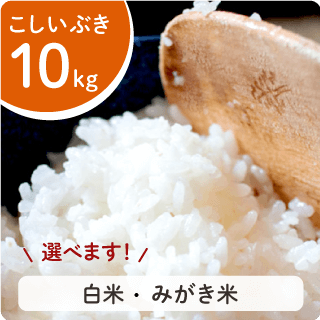 令和6年度産新米】新潟産コシヒカリ10㎏ - 金助農業株式会社の