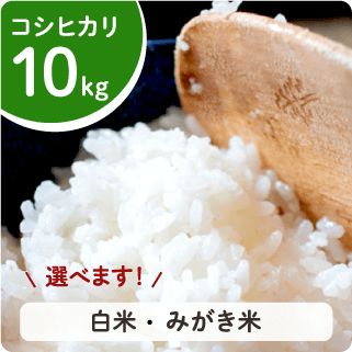 農家直送 新潟県産コシヒカリ玄米10㎏(令和4年産)
