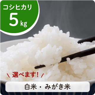 koshihikari-5