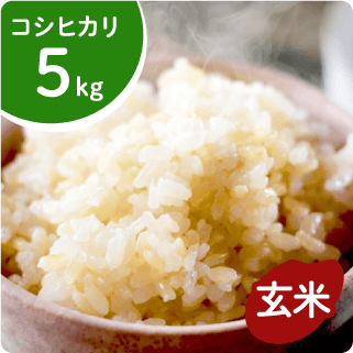 令和7年度産】新潟産コシヒカリ5㎏ - 金助農業株式会社のオンライン米
