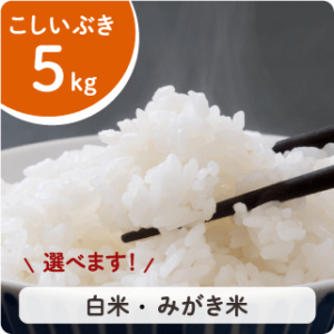 ぶくし　新米！新潟産こしいぶき25Kg　精米箱 楽天市場】新潟県産 こしいぶきの通販