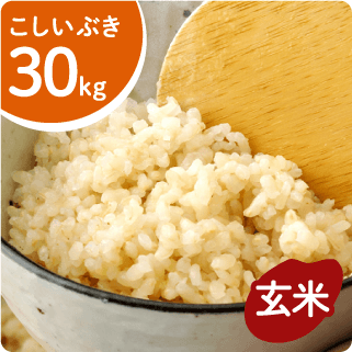 令和7年度産新米】こしいぶき 玄米30㎏ - 新潟聖籠町のきたえちご米店