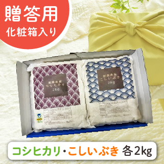 令和7年度産】 コシヒカリ・こしいぶき 各2kg 【贈答用・化粧箱入り